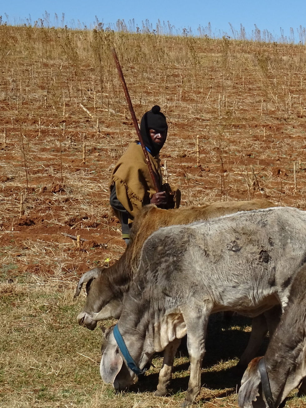 Lesotho
