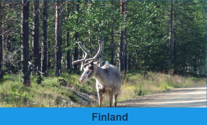 Finland - Lapland 