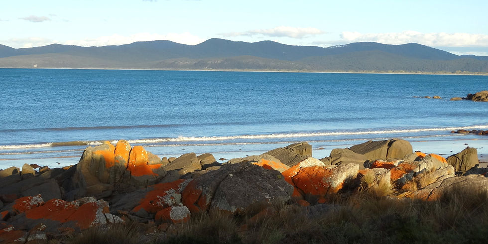Australia - Tasmania - North Coast