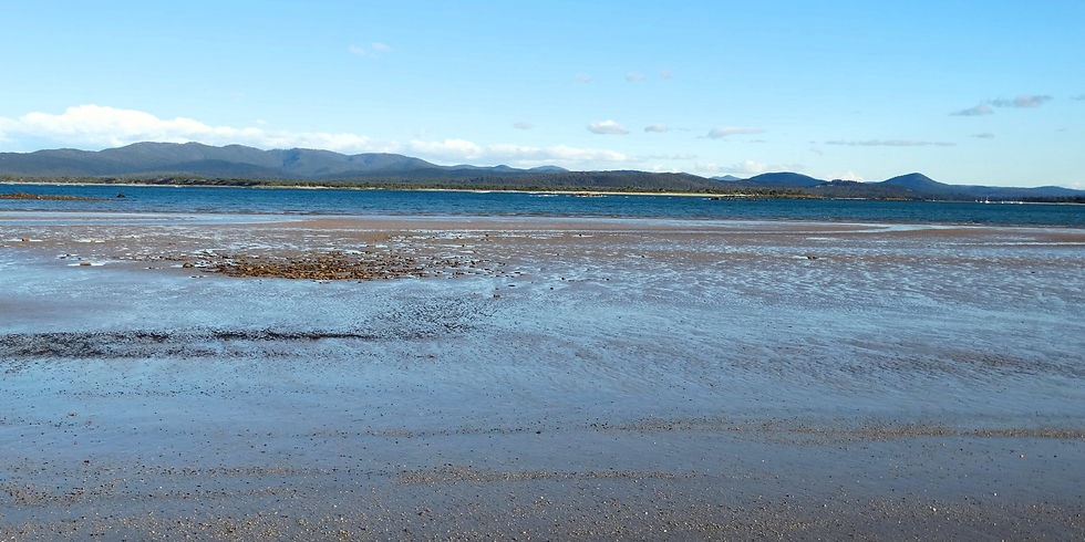 Australia - Tasmania - North Coast