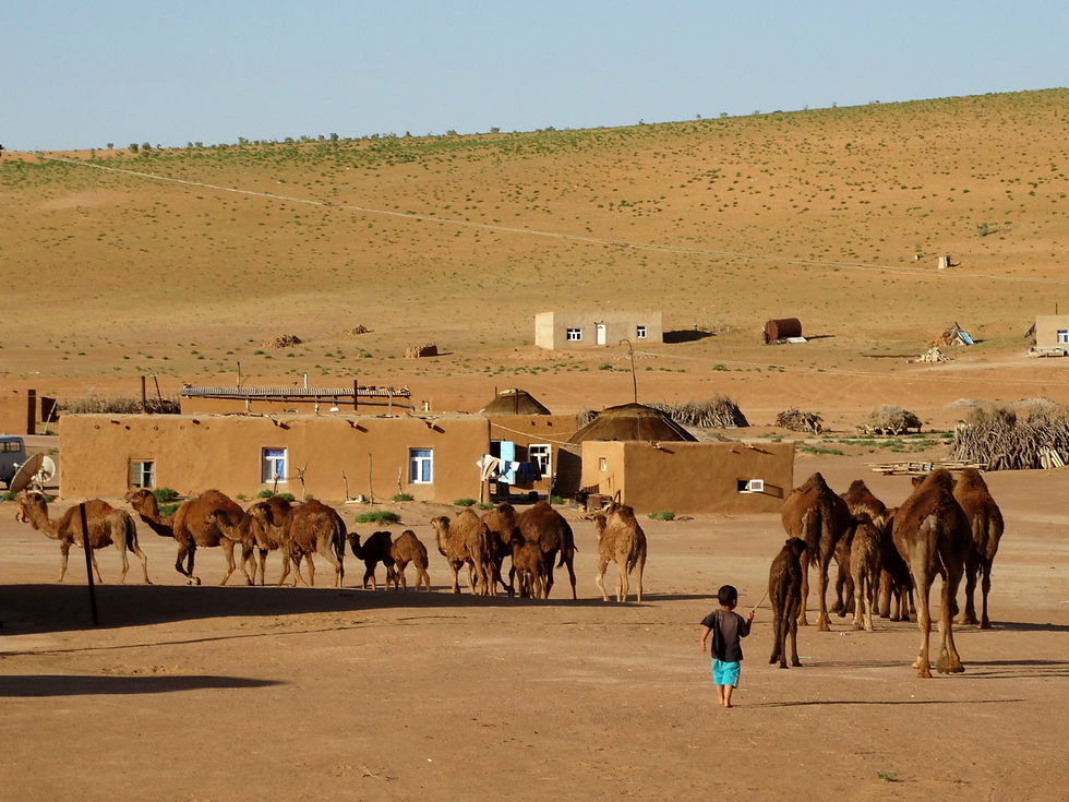 Turkmenistan - Karakum Desert