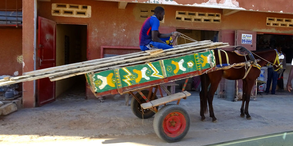 Senegal - la Petite Côte