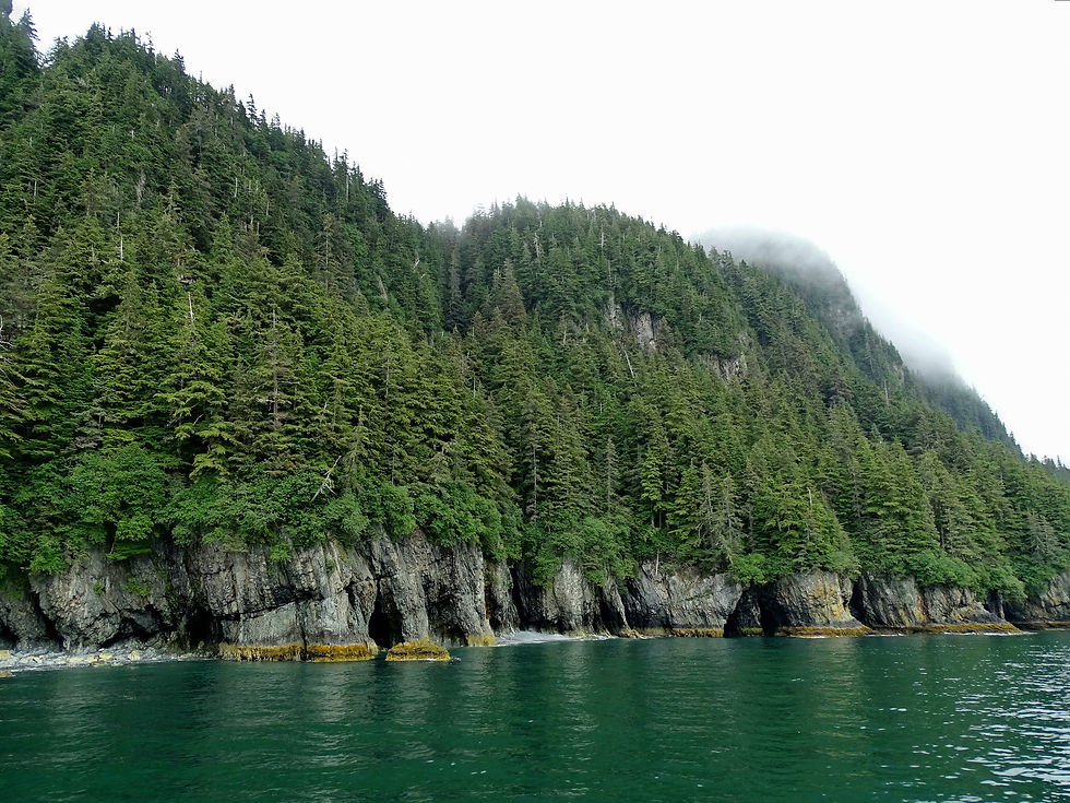 USA - Alaska - around Valdez
