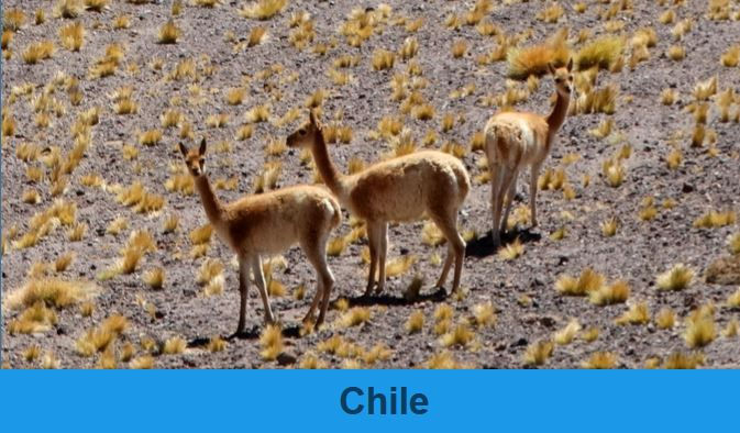 Chile - Atacama