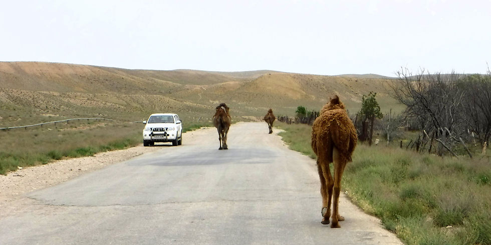 Turkmenistan - Karakum Desert
