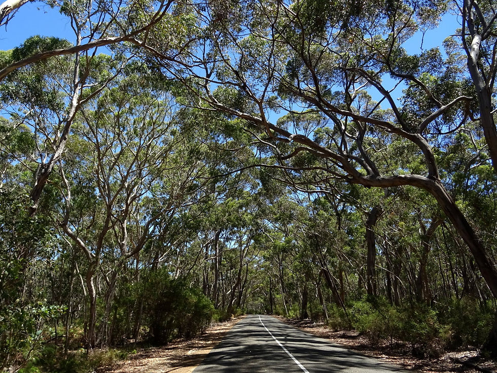 Australia - Kangaroo Island