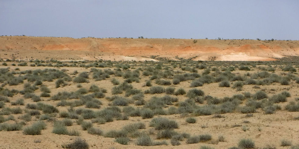 Turkmenistan - Karakum Desert