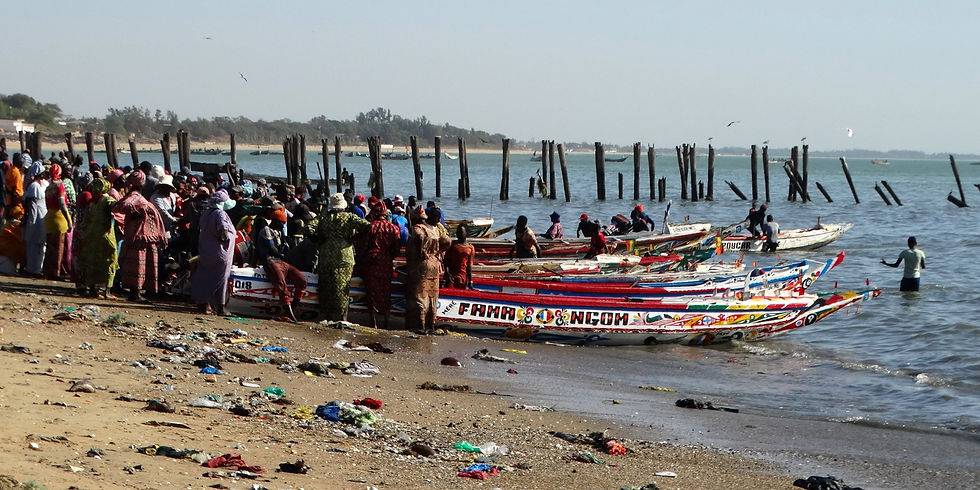 Senegal - La Petite Côte - M'Bour