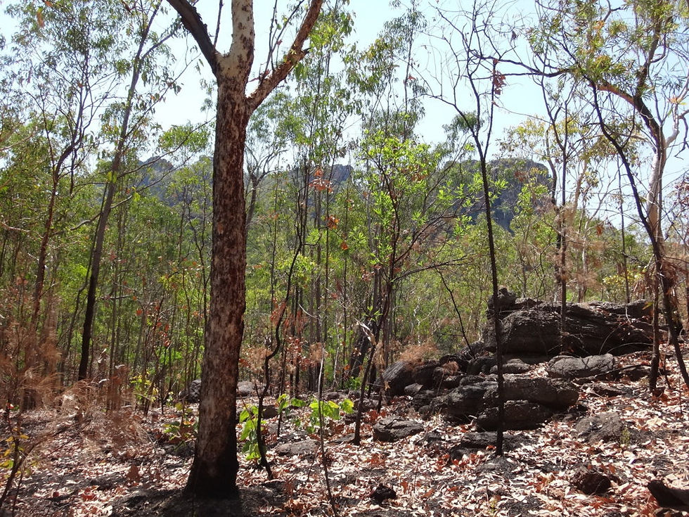 Australia - Kakadu National Park