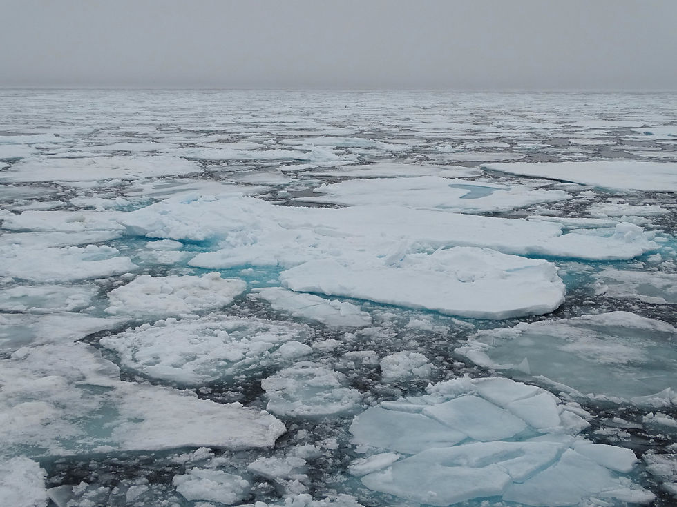 Norway - Svalbard