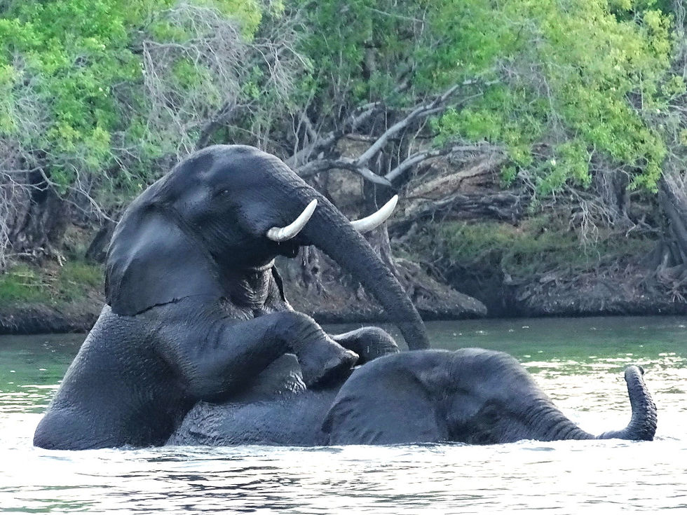 Zimbabwe