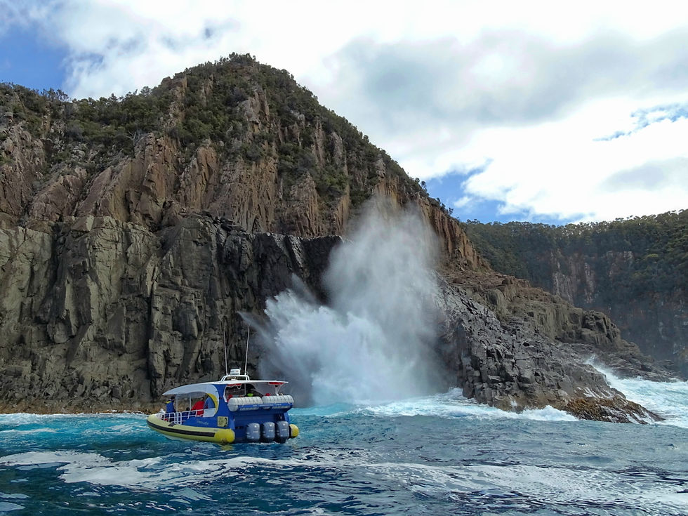 alia - Tasmania - Bruny island