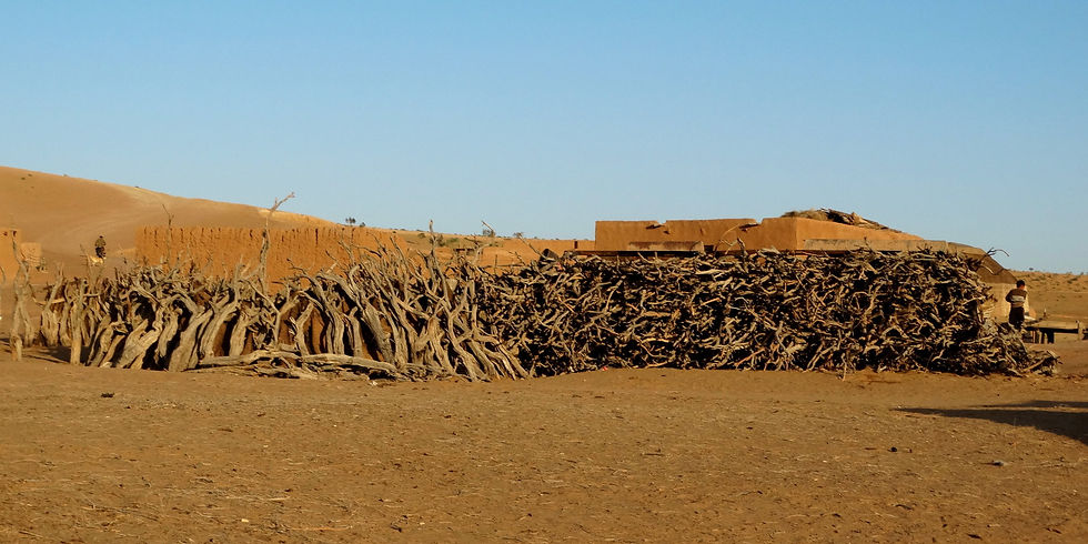 Turkmenistan - Karakum Desert