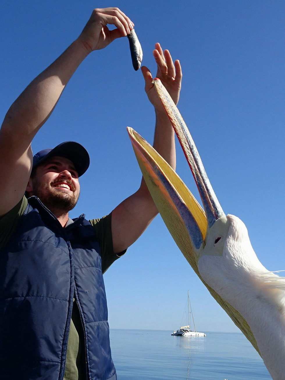 Namibia - Walvis bay