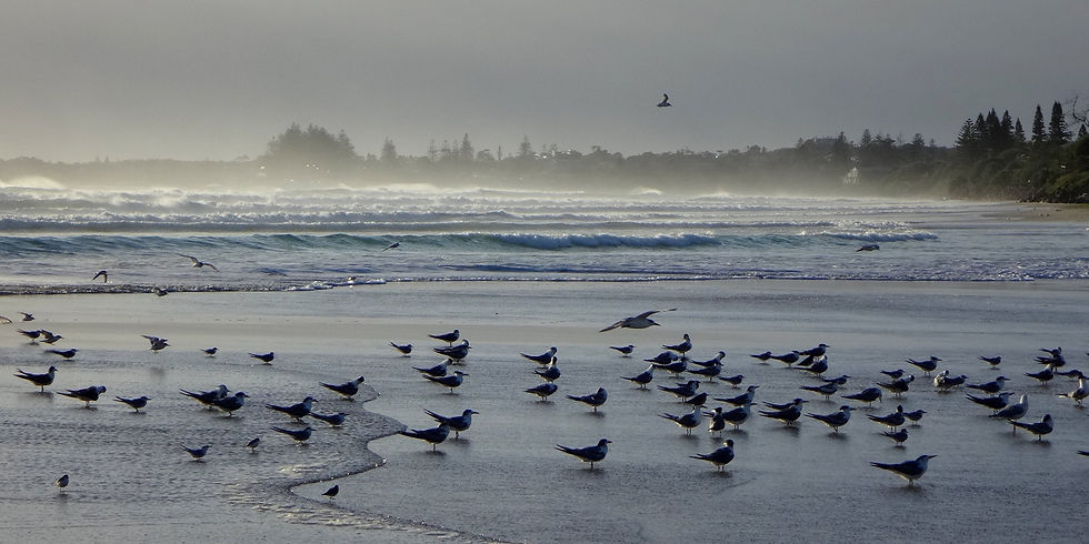 Australia - Byron Bay