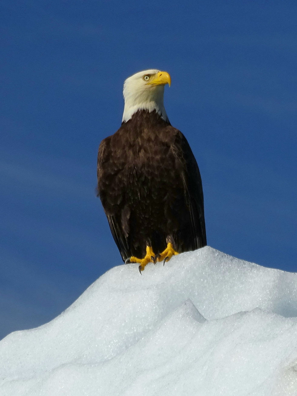 USA - Alaska