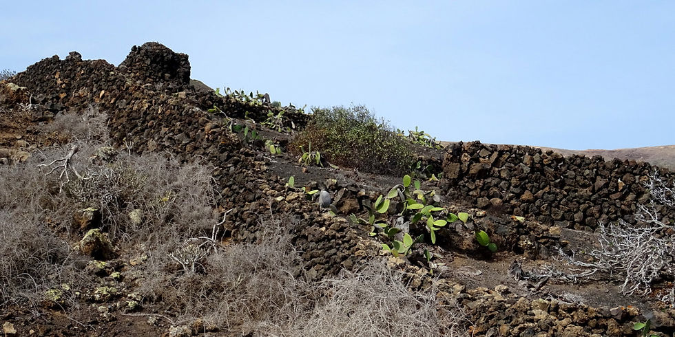Spain - Canary islands - Lanzarote
