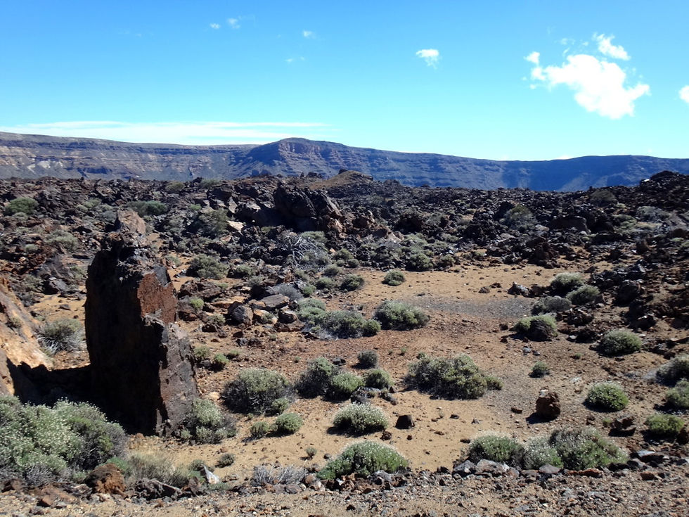 Spain - Canary islands - Tenerife