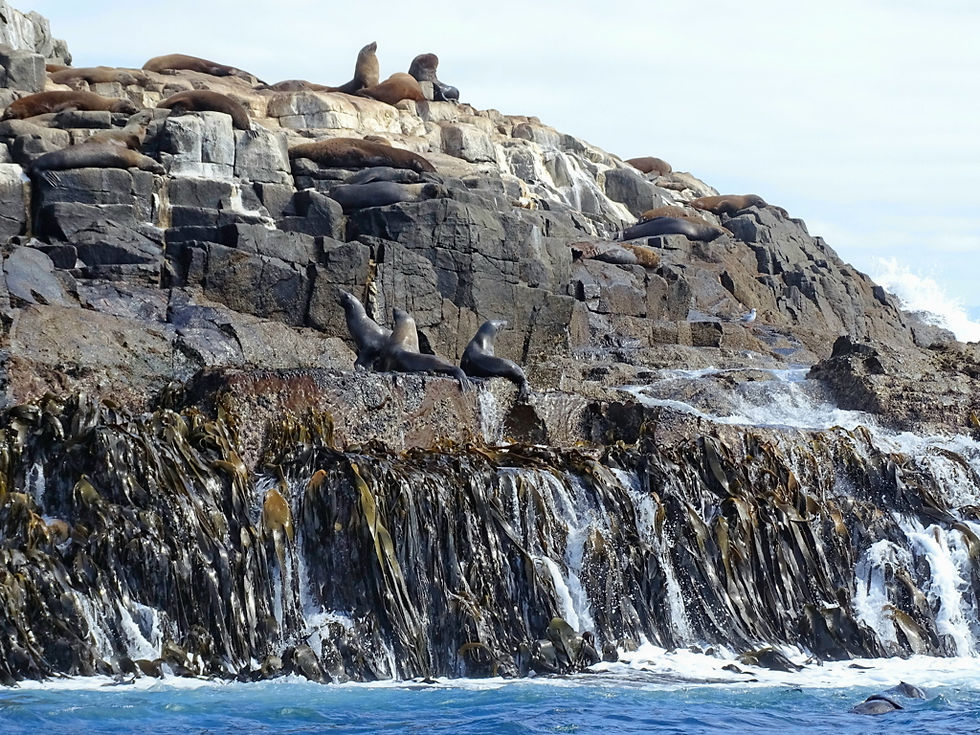 Australia - Tasmania
