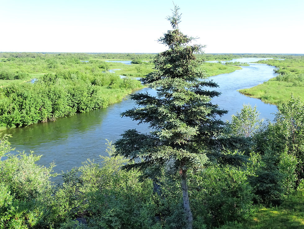 USA - Alaska - Katmai