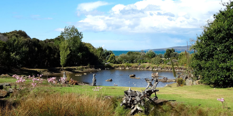 Australia - Tasmania - North Coast