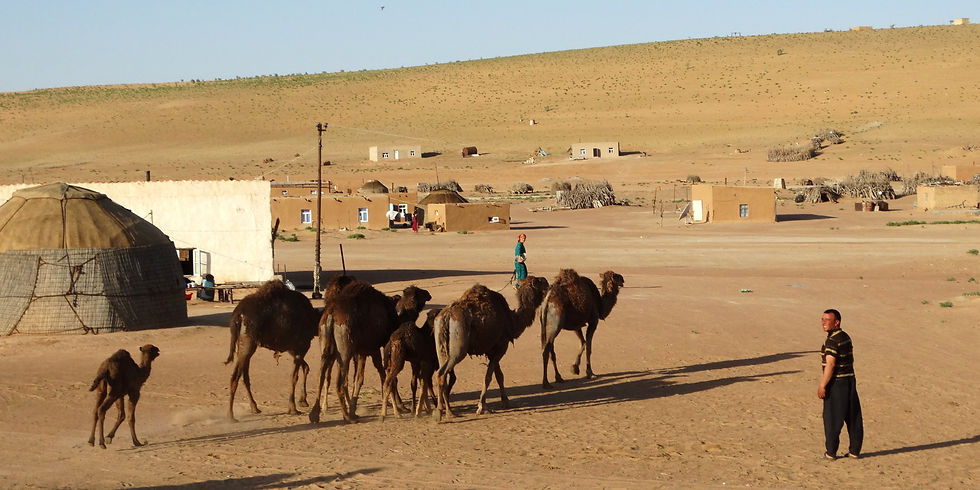 Turkmenistan - Karakum Desert