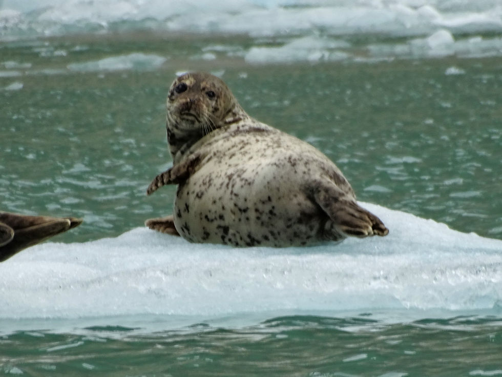 USA - Alaska