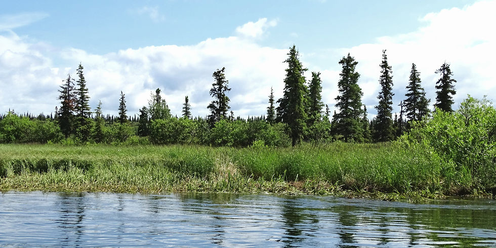 USA - Alaska - Katmai