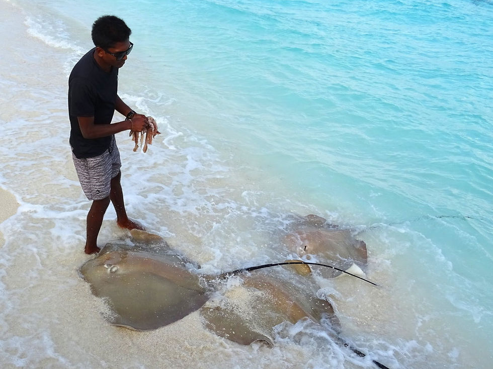 Maldives
