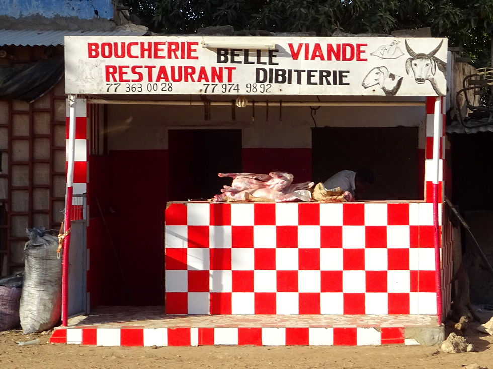 Senegal - la Petite Côte