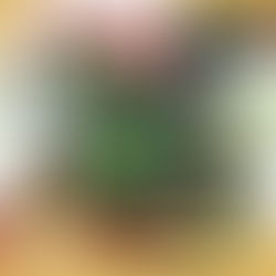 Joe & Hilarie head to the Garden State Comic Fest June 22 & 23!