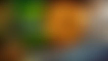 NVIDIA Earnings, BitCoin, and the Silver Smash - Members Update