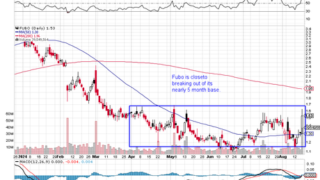 WILD ISLAND STORIES AND FUBO TAKES OFF!!! SCOTDAY AUGUST 18th 2024