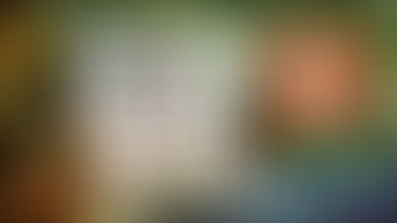 Amazing Core Drilled In Mexico! Interview with Regency Silver CEO Bruce Bragagnolo (RSMX CDNX)