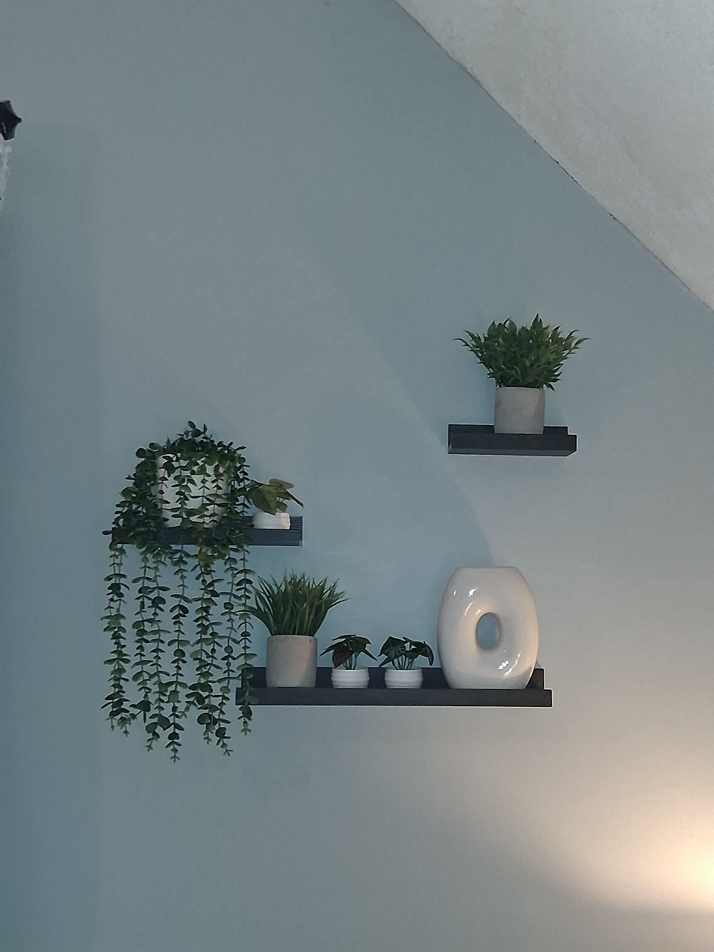 Black floating shelves with plants and white decor on a blue wall