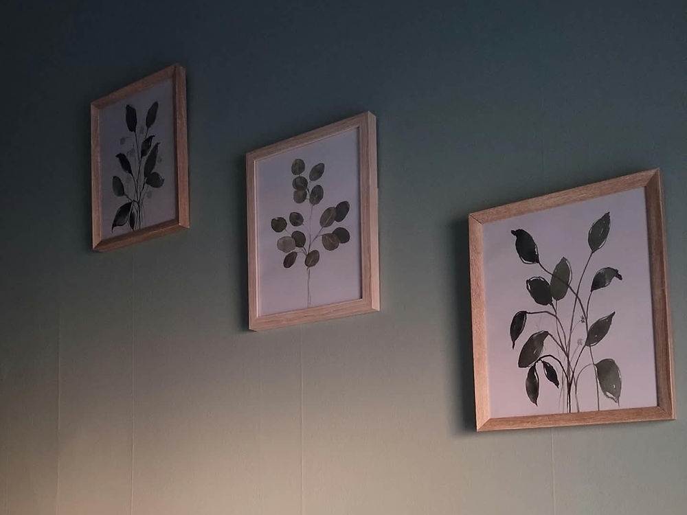 Three framed botanical prints on a wall