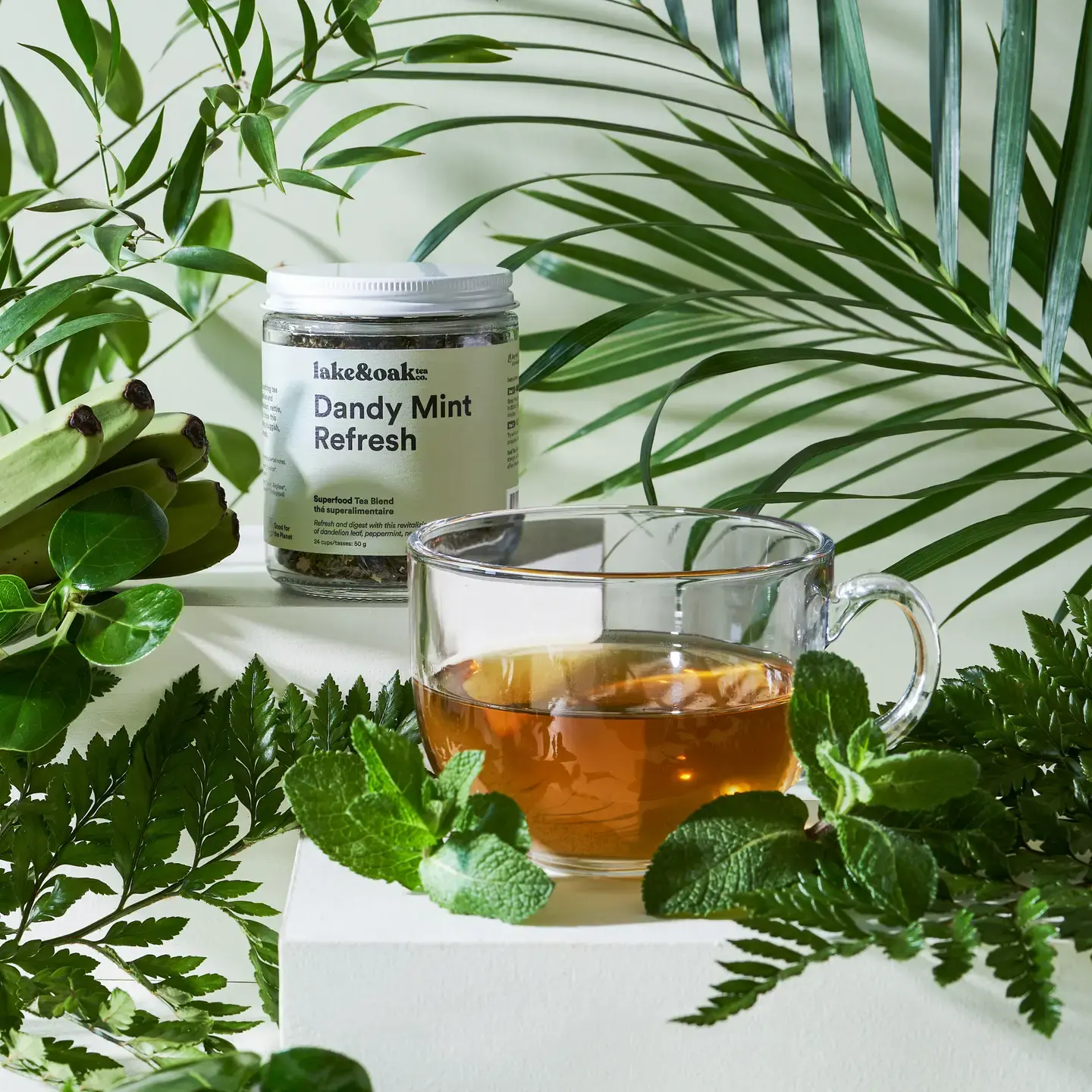 Dandy Mint Refresh