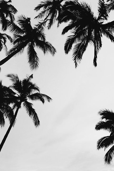 background 2.jpeg
