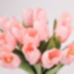 Thumbnail: Tulip Ever After | Blue Jay - Pink