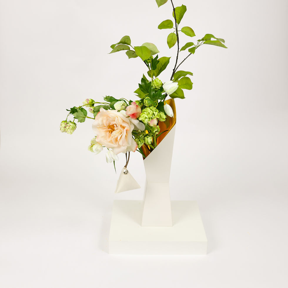 Miniatura: Baby Pink  |  Queen An Lace Yellow