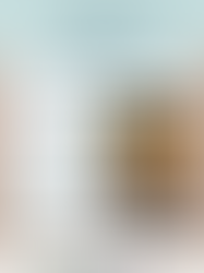 Solsticio de verano. Ciclo de Cine Documental