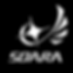 soara-logo.png