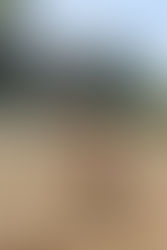 Photos du tournoi mixte du 2 mai en ligne