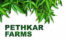pethkar-logo.jpeg
