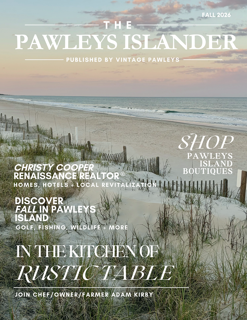 The Pawleys Islander - ISSUE 1 Cover (1).png