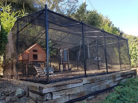 Coops and Runs 2.jpg