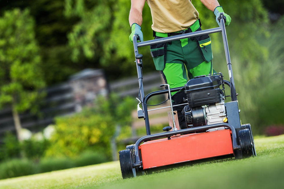 Landscaper is aerating lawn with a gasoline aerator in a residential yard on a sunny day.