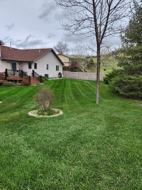 A line with lines mowed by Curley's Lawn Service