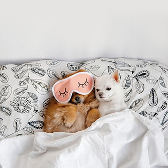 Cuddling Buddies
