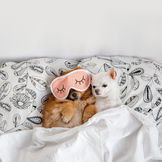 Sleepover Anxiety With Family